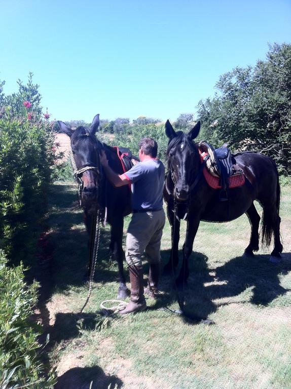 Agriturismo Prati Degli Orti Монтиано Екстериор снимка