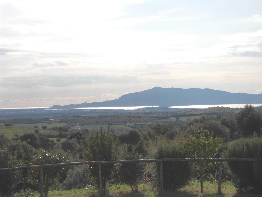 Agriturismo Prati Degli Orti Монтиано Екстериор снимка