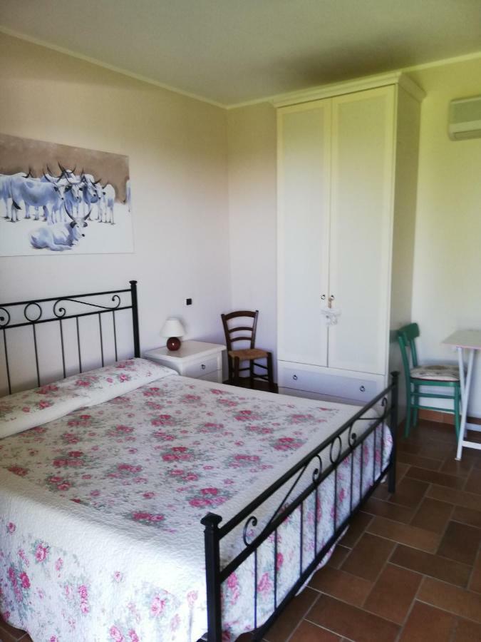 Agriturismo Prati Degli Orti Монтиано Екстериор снимка